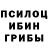 Галлюциногенные грибы Psilocybine cubensis RMACAO87