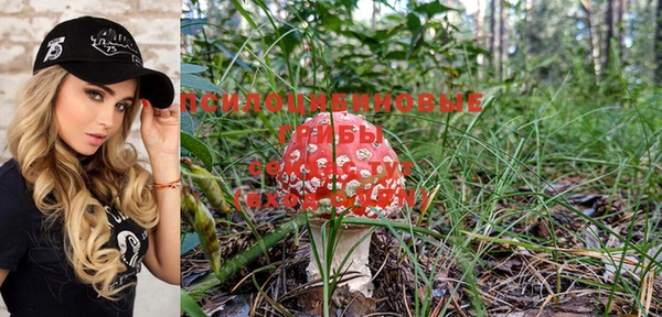 прущая мука Богданович