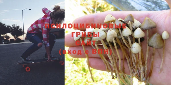 прущая мука Богданович