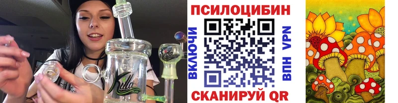 Купить  Армянск  Галлюциногенные грибы Psilocybe 